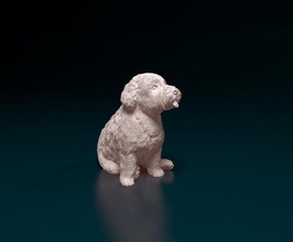 miniature schnauzer sitting schnauzer dog animal printready stl obj mini miniature