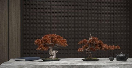 modern plant ornaments 3d print model - Mito3D