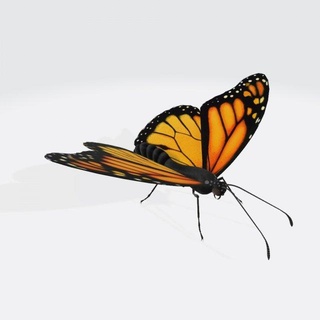 monarch butterfly ready print sculpture invertebrate insect animals wildlife nature animal creature monarch-butterfly wing bug caterpillar moth butterflies moths fly realistic-animals black orange 3d print model - Mito3D