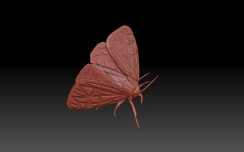 traça 3d impressão modelo in 3dexport borboleta alívio bas relief cnc mol bicho seda inseto erro 3d print model - Mito3D