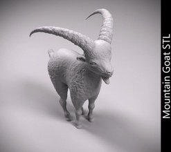 mountain goat stl fur fauna animal horn mammal 3d print 3d print model - Mito3D
