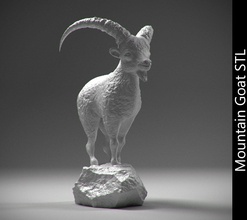 cabra de montaña piedra stl el pelaje la fauna animal cuerno los mamíferos 3d impresión 3d print model - Mito3D