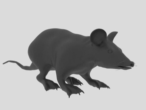 ratón animal zoo zoológico mar naturaleza salvaje fauna silvestre 3dprinter 3dprinted 3d print model - Mito3D