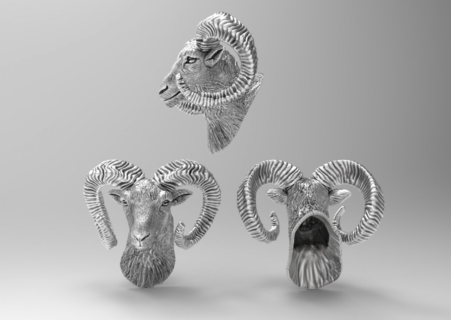 muflone ram-Skulptur-Dekor Skulptur Schmuck zbrush stl Drucker 3D print model - Mito3D