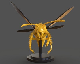 morden asiatisch Hornisse Skulptur Figur Figuren Miniaturen Miniatur Insekt Insektizid insektoid Insekten Asiaten Mörder Monster Kreatur Kreaturen 3dprint 3dprinting 3dprinter 3dprintable 3d print model - Mito3D