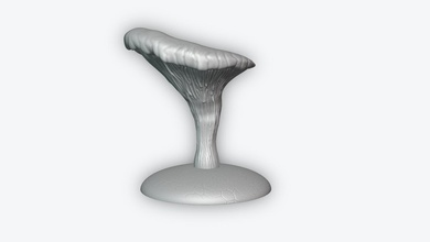 il fungo di stampa la miniature i funghi shroom foresta fey natura 3d print model - Mito3D
