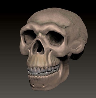 neanderthal cranio figurine craneo miniatura vecchio scienza 3d print model - Mito3D