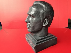 nicolas cage escultura 3d listo para imprimir la jaula conair actor stl de hollywood acción 3d print model - Mito3D