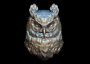 night owl owl3d nature animal birds zbrush 3d print model - Mito3D