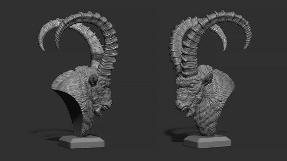 nubian ibex bust animals goat head art sculpture statue figure animal nature horns printable decor 3d print model - Mito3D