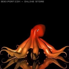 octopus 3d model in squid 3dexport monster toon shark character creature red fish undersea diving monstre comic marin poisson pieuvre poulpe 3d print model - Mito3D