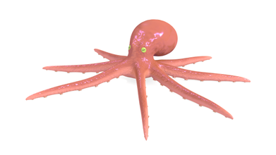 octopus rigged fish underwater water nature sea ocean squid tentacle sticky wet creature predator animals 3d print model - Mito3D