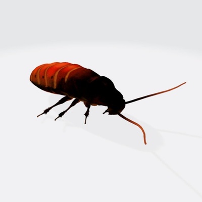 oriental cockroach ready to print 3d model in sculpture 3dexport insect bug roach pest animals lowpoly game mesh cucaracha scarab cockroaches invertebrate dirty 3dmodel printable vermin wildlife nature 3d print model - Mito3D