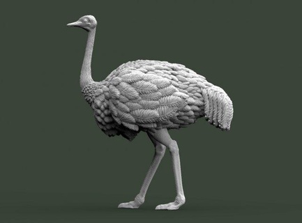 ostrich  sculpture ostrich bird animal print pigeon eagle sparrow crow sculpture  3d print model - Mito3D