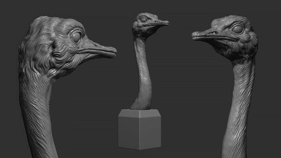 avestruz cabeza 3d impresión modelo animales animal naturaleza mamífero escultura pájaro estatuilla recuerdo imprimible esculpir Arte estatua 3d print model - Mito3D