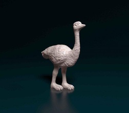 autruche 3d impression modèle in figurines 3dexport oiseau animal sauvage imprimable printready stl obj 3d print model - Mito3D