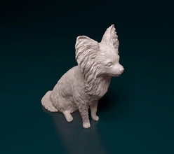 papillon dog sitting 3d print model in figurines 3dexport animal printready printable stl obj 3d print model - Mito3D
