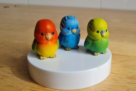 parakeet cat animals kawaii parrot bird animal toy pet 3d print model - Mito3D