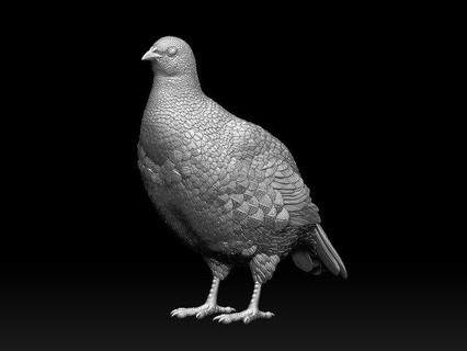 perdiz escultura negro queja pollo juego caza pájaro animal impresión peltopía perdix arte Arte 3d print model - Mito3D