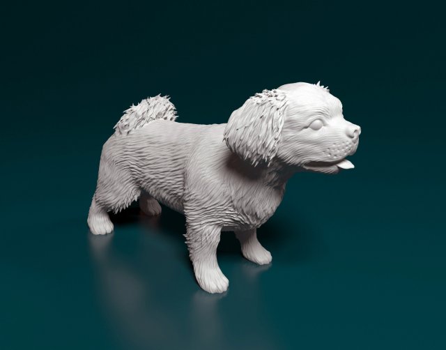 pechinese cane animali printready stampabile cinese 3D print model - Mito3D