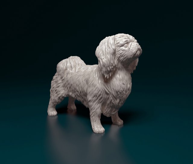 pequinês cão animal chinês printready imprimível 3D print model - Mito3D