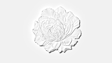 peony bas-relief flower 3d print model in sculpture 3dexport printing cnc 3d print model - Mito3D