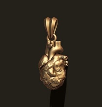 taşlaşmış kalp kolye anatomi kas organ kan pulmoner kart gümüş altın takı insan taş Clif Kaya hrt Geyik vücut 3d print model - Mito3D