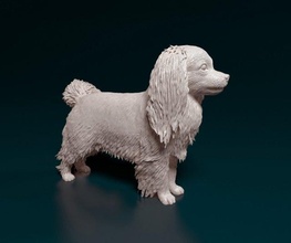 phalene dog animal printready stl obj printable 3d print model - Mito3D
