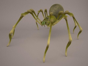 fonötria örümcek 3d model in 3dexport kadın brezilya muz dolandırıcı silahlı amazon kosta rika tropikal yağmur orman hayvan yaratık güney amerika böcek 3d print model - Mito3D