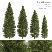 pine tree 3d model in 3dexport leyland cypress plant wood forest needles green exterior park leaves nature bark leaf greenery snow jungle 3d print model - Mito3D