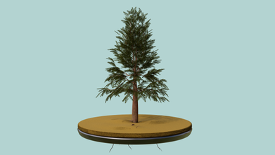 pine tree plant 3d nature 3d print model - Mito3D