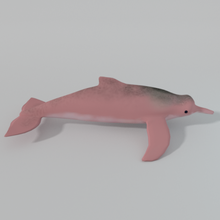rosa golfinho 3d modelo in 3dexport 3d print model - Mito3D
