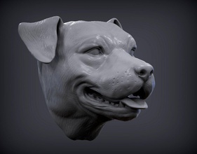 pit bull head 3d print model in sculpture 3dexport pitbull dog nature mammal animal wild pet statuette souvenir sculpt art sculptures 3d print model - Mito3D