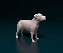 pit bull terrier 3d print model in figurines 3dexport pitbull dog animal printready stl obj printable 3d print model - Mito3D