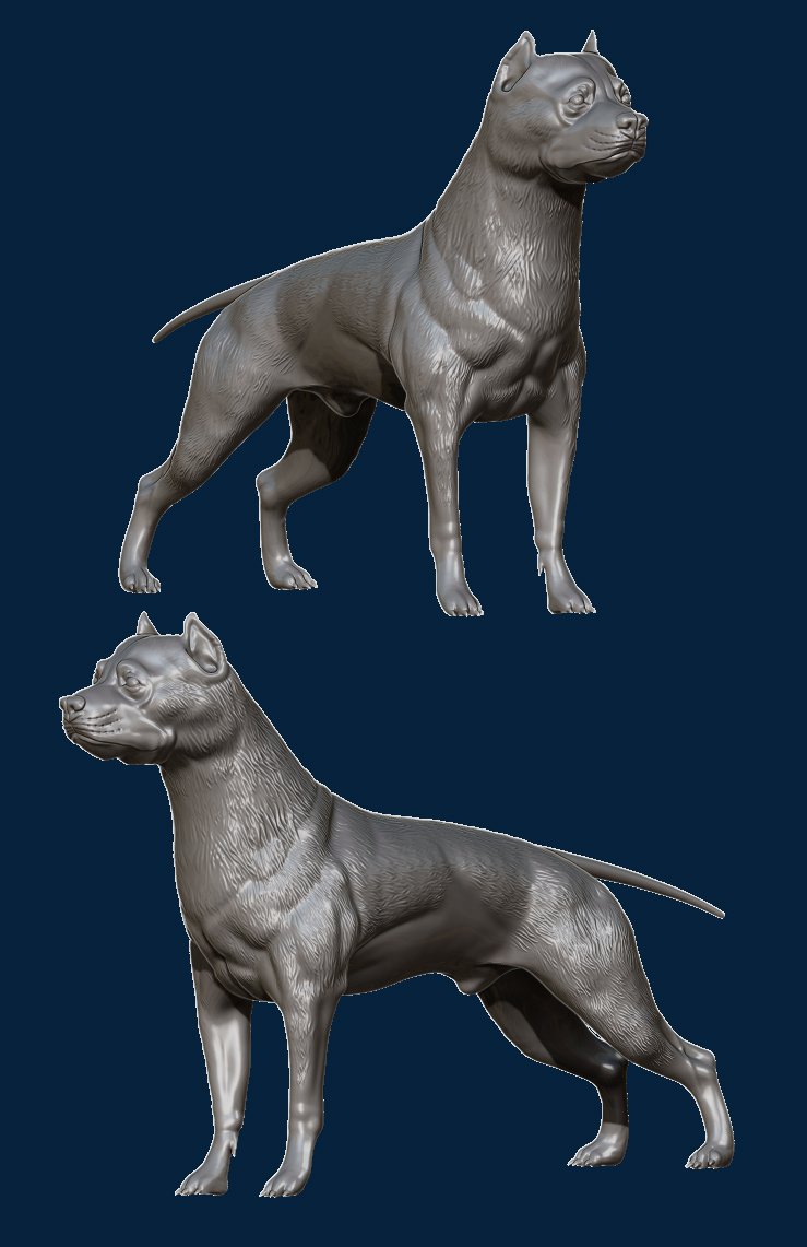 pitbull 3d print model in figurines 3dexport pit bull terrier american animals canine dog game ready gameready real realtime mammal pbr pet puppy wild life 3D print model - Mito3D