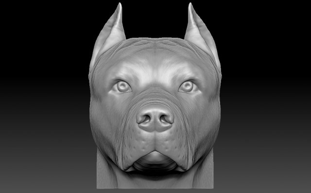 pitbull head 3d printing print model in sculpture 3dexport pit bull stafford terrier american amstaff dobermann husky bust dane dog animal french bulldog rottweiler shih labrador retriever 3D print model - Mito3D