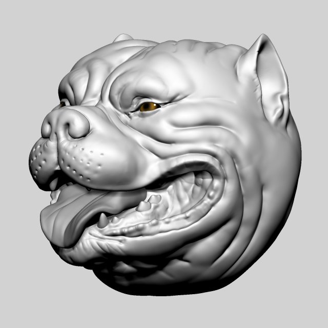 pitbull head size mini animals 3D print model - Mito3D