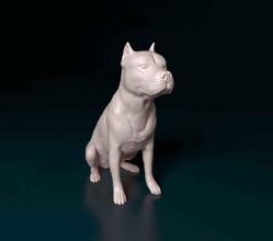 pitbull sitting 2 3d print model in figurines 3dexport female male dog animal printready stl obj printable terrier bullterrier bully 3d print model - Mito3D