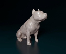 pitbull sitzung 3d drucken modell figuren 3dexport schikanieren bullterrier terrier hund tier druckbar gedruckt stl obj 3d print model - Mito3D