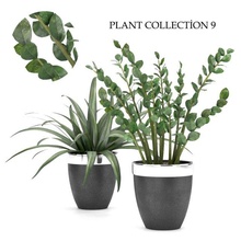 plant collection 9 zz indoor spider flower pot pottery livingroom office zamioculcas greens outdoor bush houseware nature landscape 3d print model - Mito3D