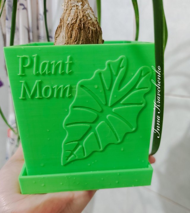 plant mom planter 3d print model in decor 3dexport cactus pot indoor succulent garden potholder gardener flowerpot flower grower philodendron ivy monstera alocasia leaf 3D print model - Mito3D