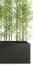 plantes 49 bambou bambouplantes vase pot bureau Plantes 39 intérieur 3d print model - Mito3D