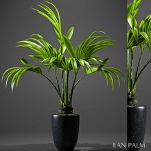 plantas 52 interior aire libre jardín flor maceta palma 3d print model - Mito3D