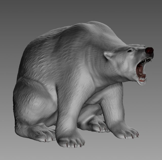 polar oso animales Polo Norte blanco carnívoro mamifero animal 3D print model - Mito3D