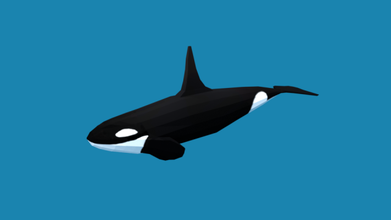 poly caroon orca mörder wal 3d modell 3dexport ozean meer tierwelt tiere fisch 3d print model - Mito3D