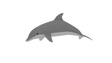 poli desenho animado golfinho 3d modelo in 3dexport mar peixe oceano natureza animais selvagens 3d print model - Mito3D
