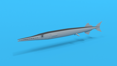 poli karikatür zargana balık su hayvan deniz düşük şık okyanus Su belone gar 3d print model - Mito3D