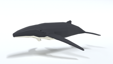 poly karikatur buckel wal 3d modell fisch 3dexport tier ozean meer lowpoly tierwelt stilvoll säugetier 3d print model - Mito3D