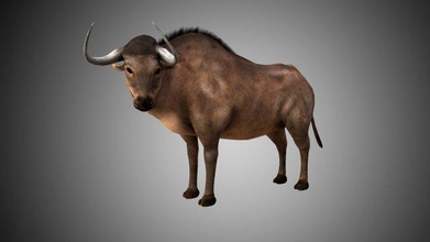 poli truccato buffalo bull bufalo Toro gioco pronto animale mammifero mucca bestiame 3d print model - Mito3D