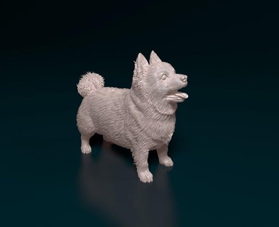 pomerânia cão estatuetas animal imprimível spitz 3d print model - Mito3D